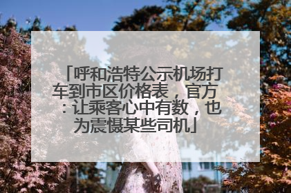 呼和浩特公示机场打车到市区价格表，官方：让乘客心中有数，也为震慑某些司机